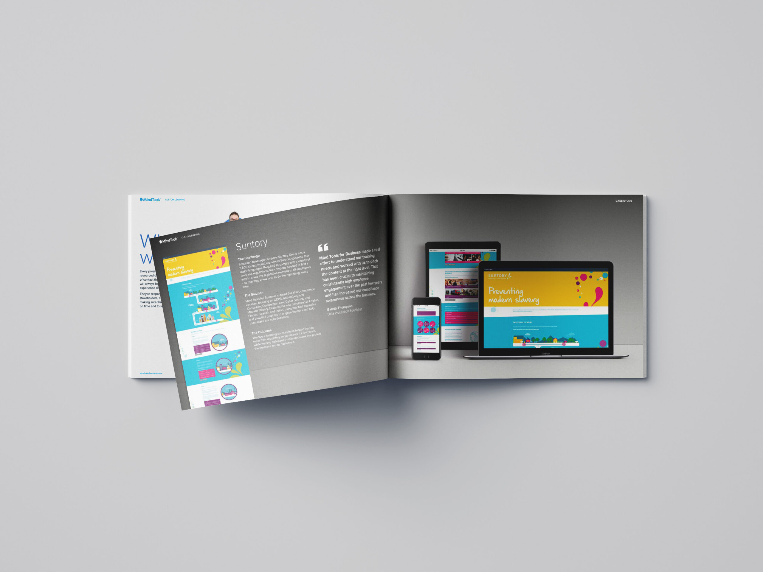 MindTools Brochure Section
