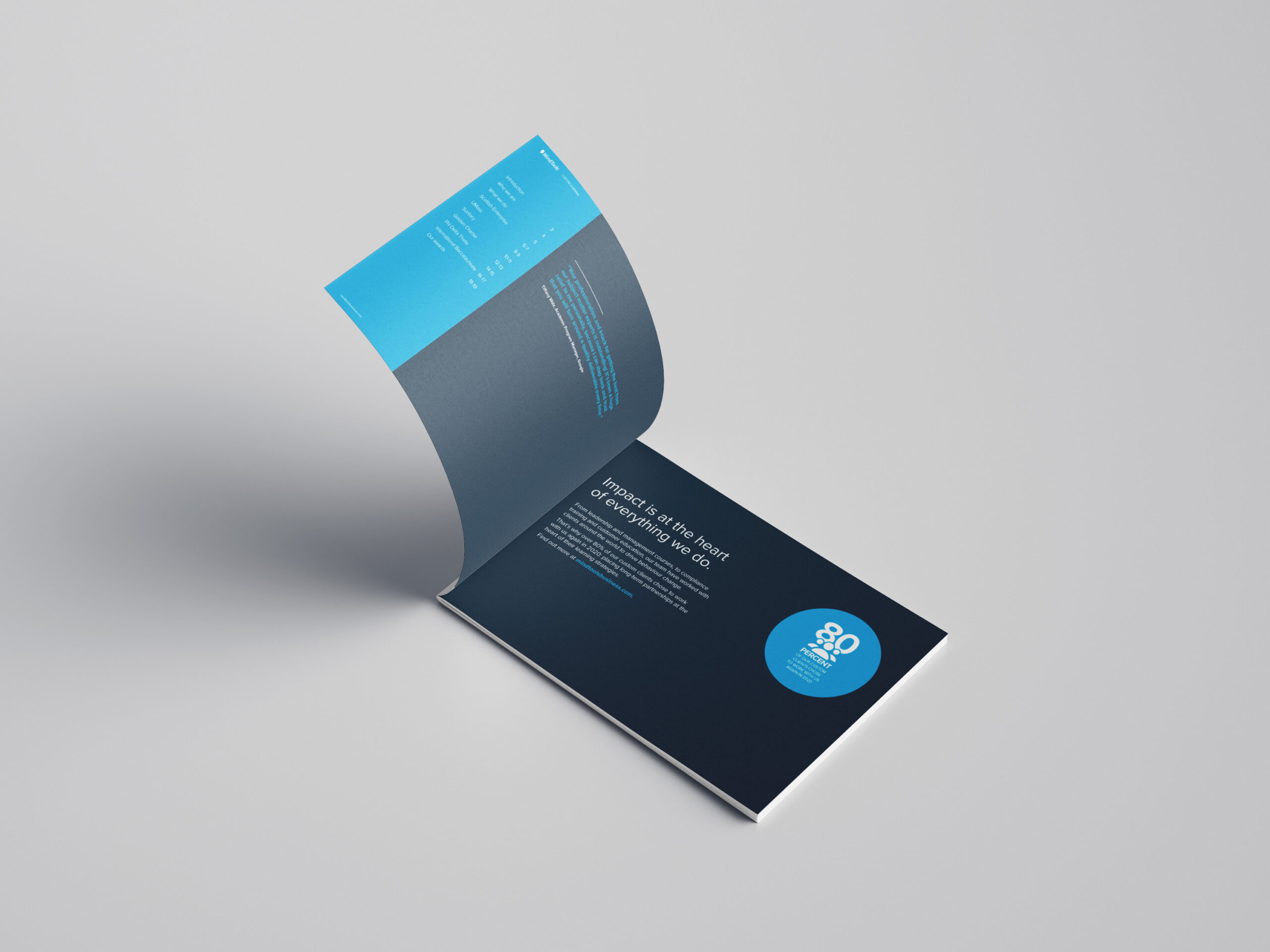 MindTools Brochure Contents